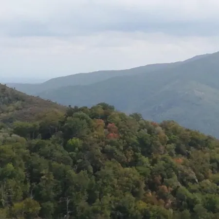 Rinasce In Corsica Nocleg ze śniadaniem