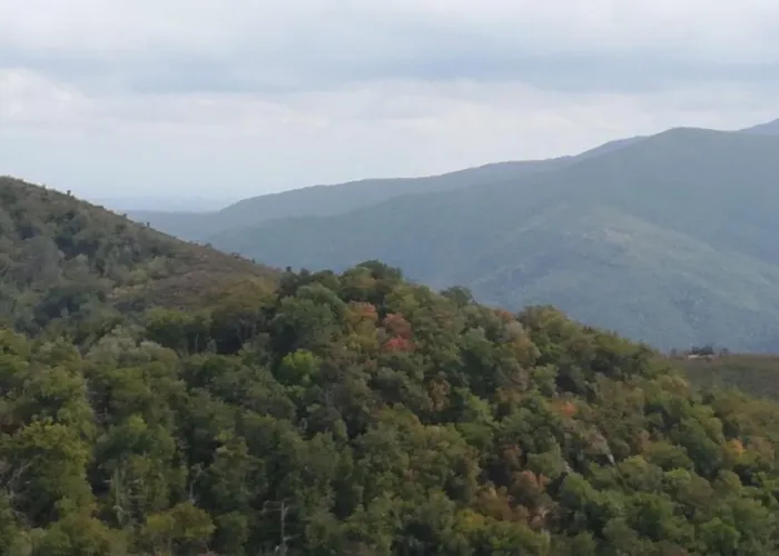 Rinasce In Corsica Oda ve Kahvaltı