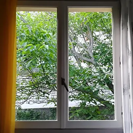 B&B Rinasce In Corsica