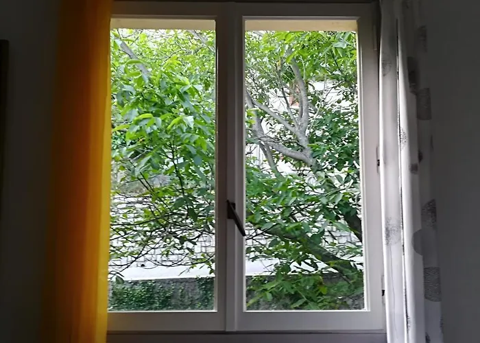 Bed & Breakfast Rinasce In Corsica